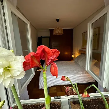 Piso Grande Reformado Y Centrico Apartman *